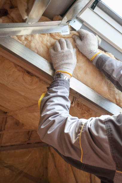 Best Residential Insulation in Kissimmee, FL