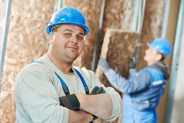 Best Insulation Maintenance and Repair in Kissimmee, FL